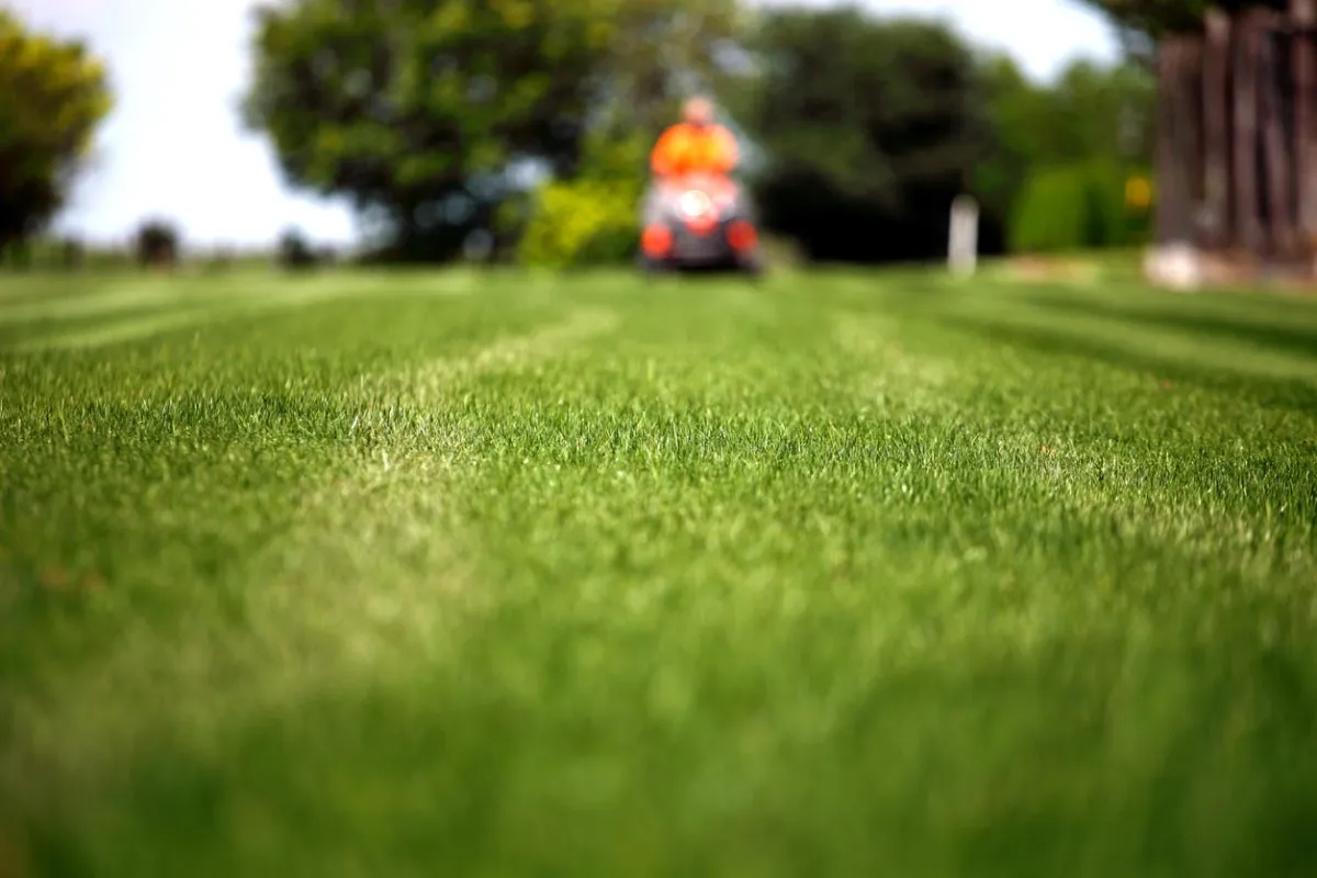 How Seasonal Weed Control Can Protect Your Lawn from Invasive Weeds